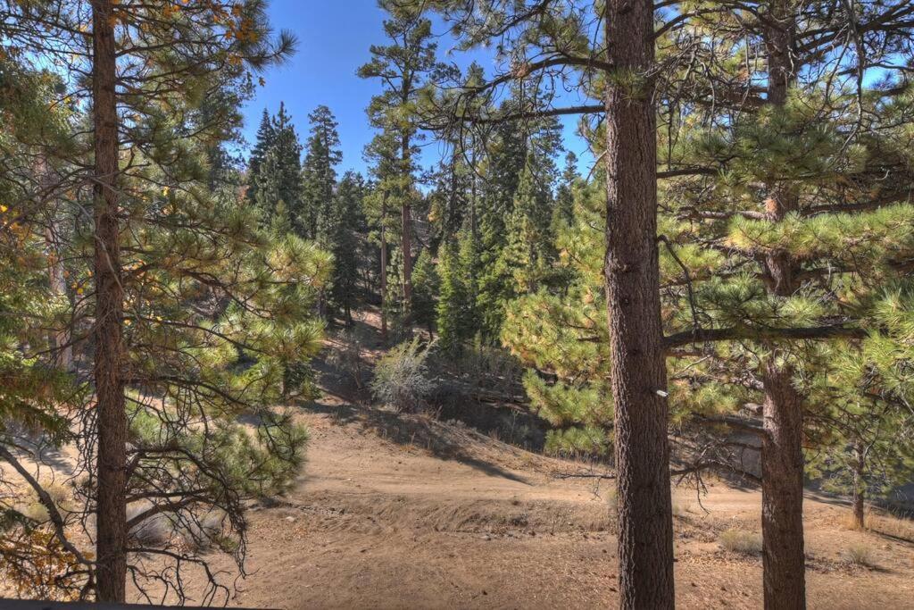 Villa Everwood Serenity Treehouse Ontrail Head/Sledding Big Bear Lake Exterior foto